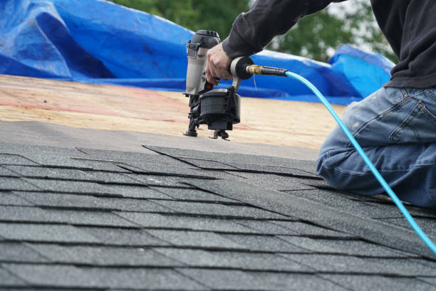 Best Roof Gutter Cleaning  in East Sandwich, MA